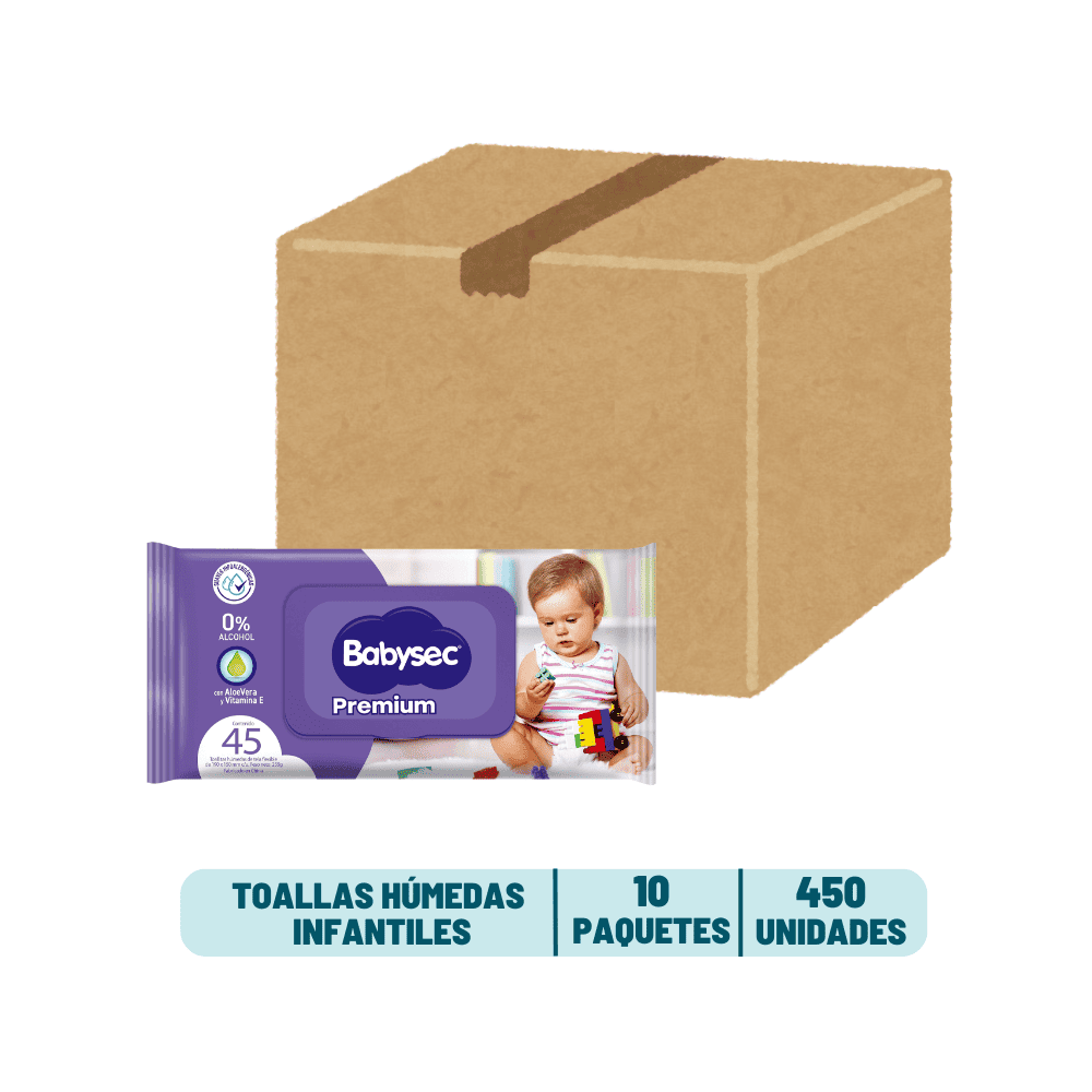 Pack 10 Toalla Humedas Babysec Premium