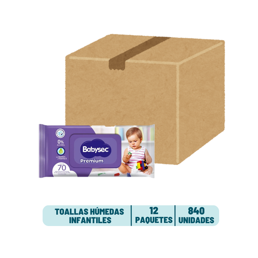 Pack 12 Toalla Humedas Babysec Premium